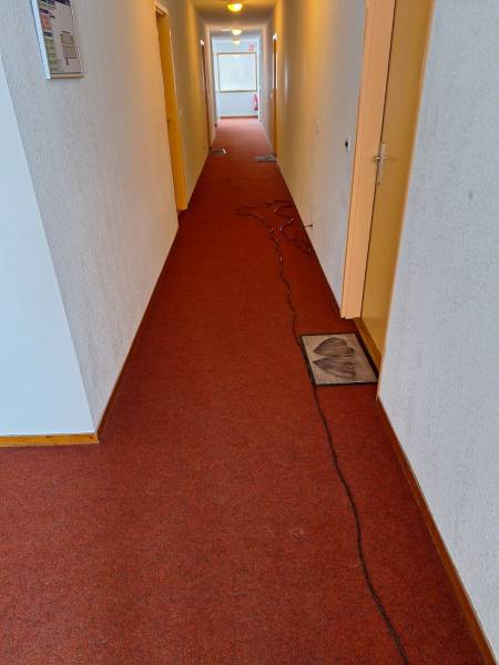 SNGA : spécialiste du nettoyage de moquette et de tapis à Lyon et ses alentours