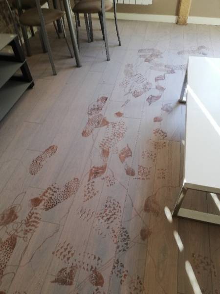 Prestataire pour lavage de sol après chantier à Lyon