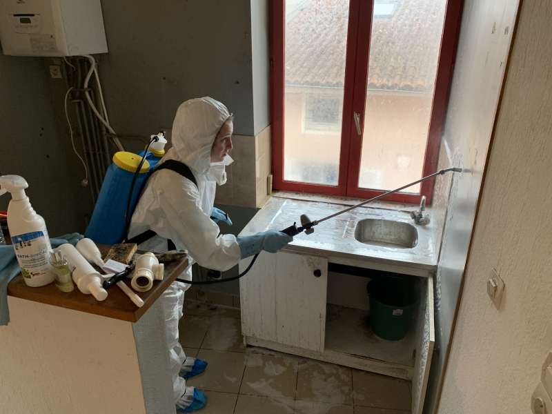 entreprise de désinfection de sang à lyon