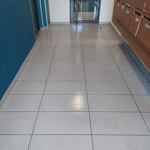 Entretiens de copropriétés avec nettoyage des parties communes intérieur et extérieur,palliers, escaliers, ascenseur, poubelles, caves, local a velos, parkings à Saint Etienne