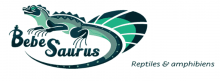 Magasin de reptiles bebesaurus lyon
